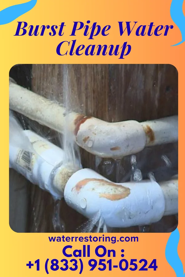 Burst Pipe Water Cleanup in Tishomingo, MS