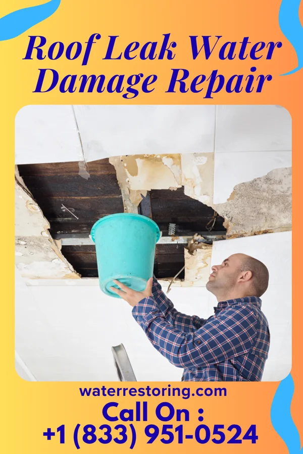 Roof Leak Water Damage Repair in Tishomingo, MS