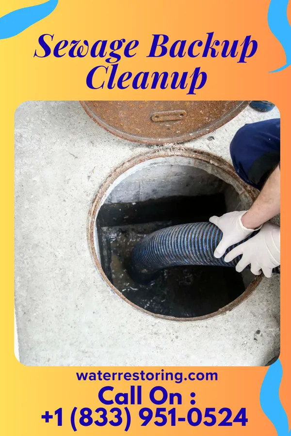 Sewage Backup Cleanup in Tishomingo, MS